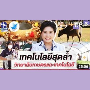 แนะnow